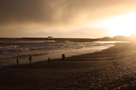 Lyme Litter Pick